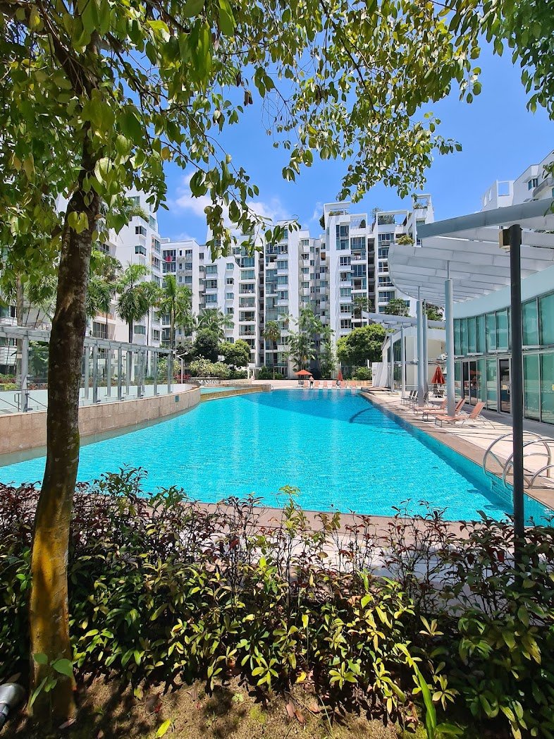 Condominium swimming pool at The Tessarina